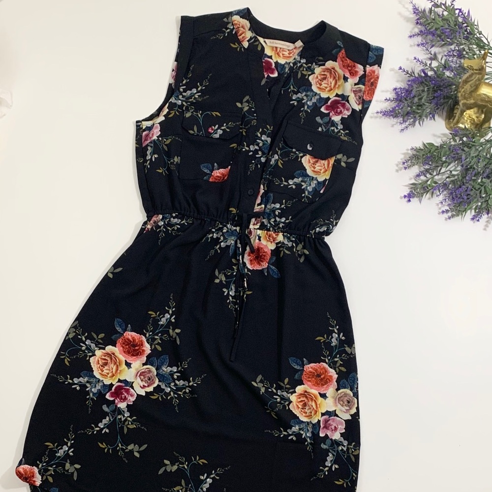 Soft Surroundings sleeveless dress